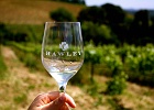 hawley winery